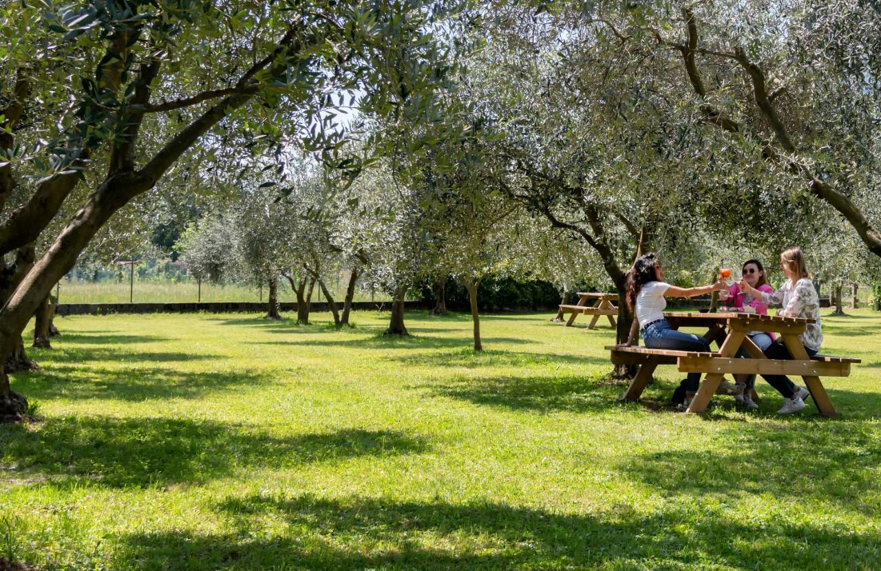 Agroturismo Ca Del Gravedona