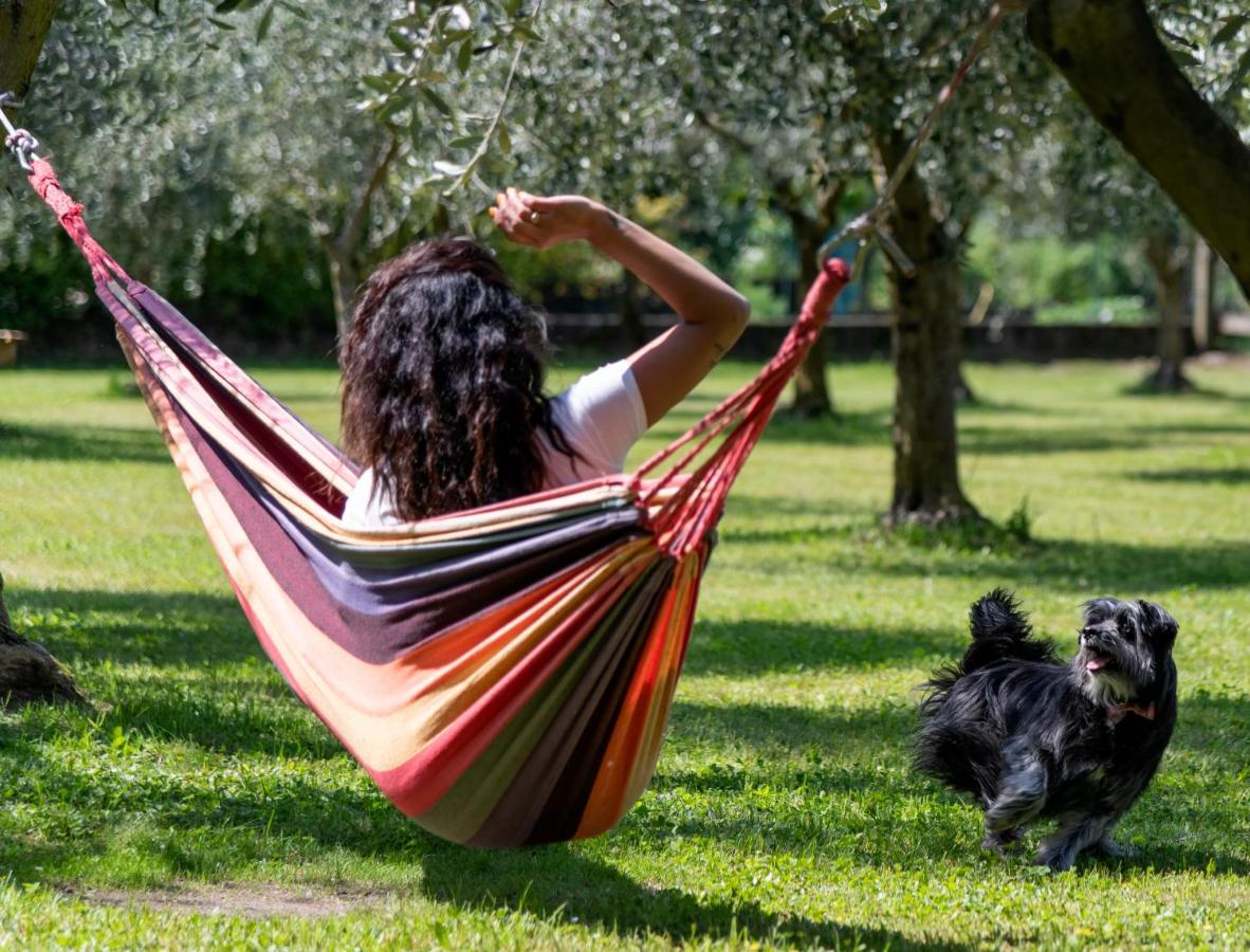 Agroturismo Ca Del Gravedona